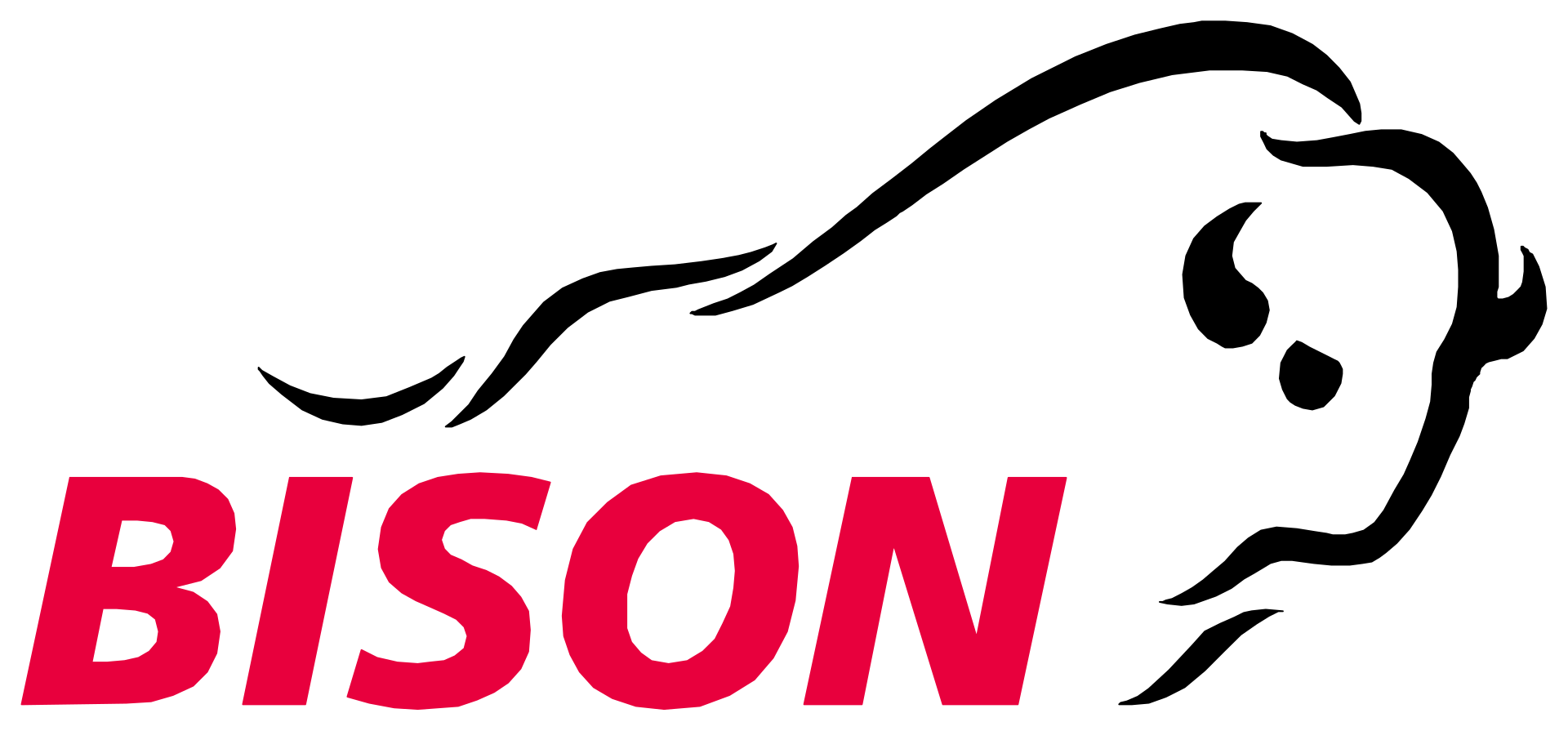 Bison Schweiz AG