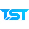 Solutions Team Inc logo