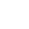 Southeastern Cyber logo