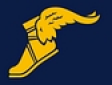 The Goodyear Tire & Rubber Company