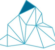 RealNetwork Services