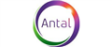 Antal International